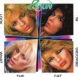 Poison (USA) : Look What the Cat Dragged in